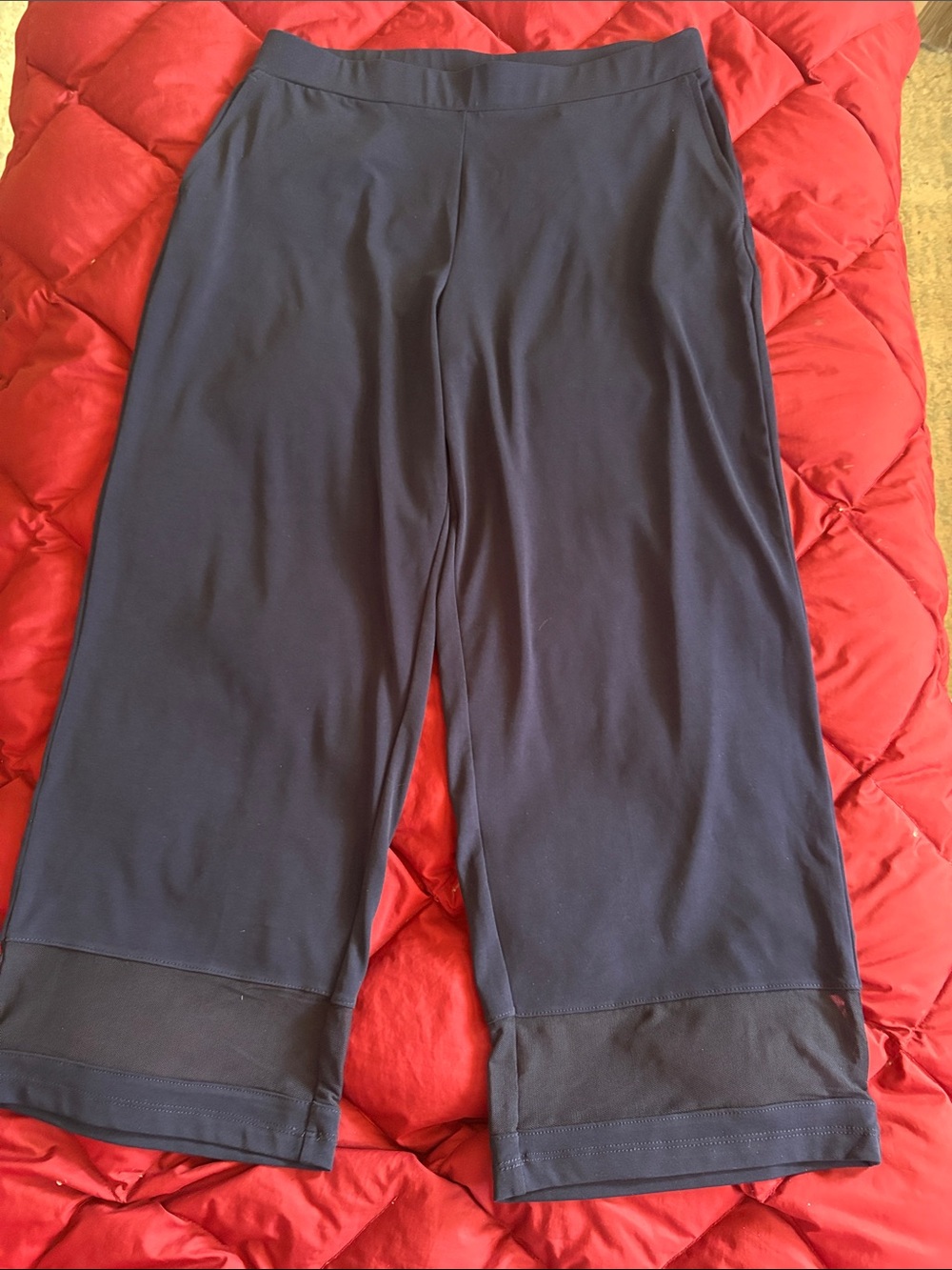 Susan graver liquid knit pants with mesh inset NEW